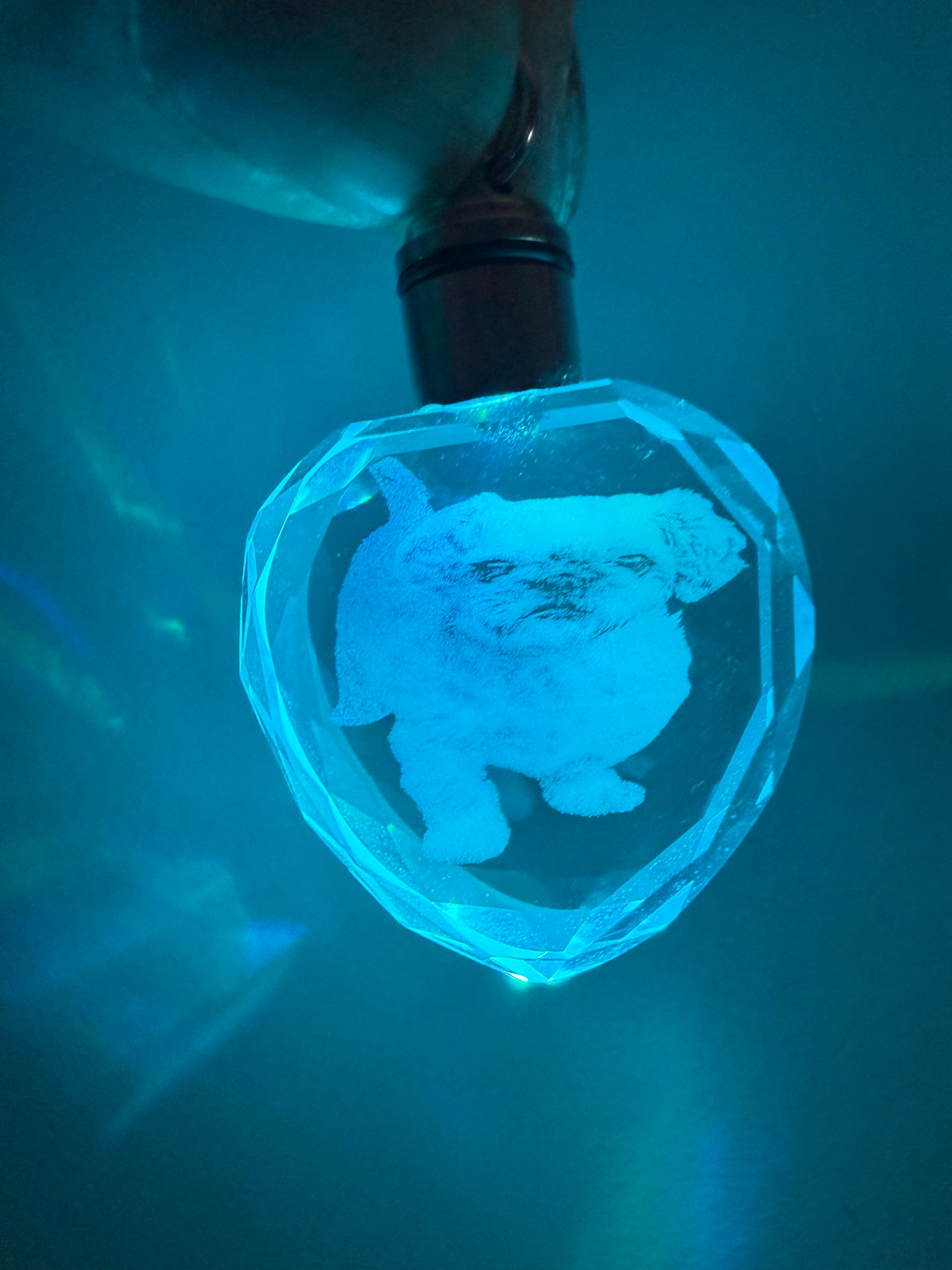Shop UV Engraved